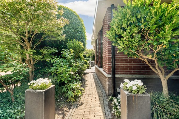 Medium property photo - Alexine Tinnepad 19, 2553 TR Den Haag